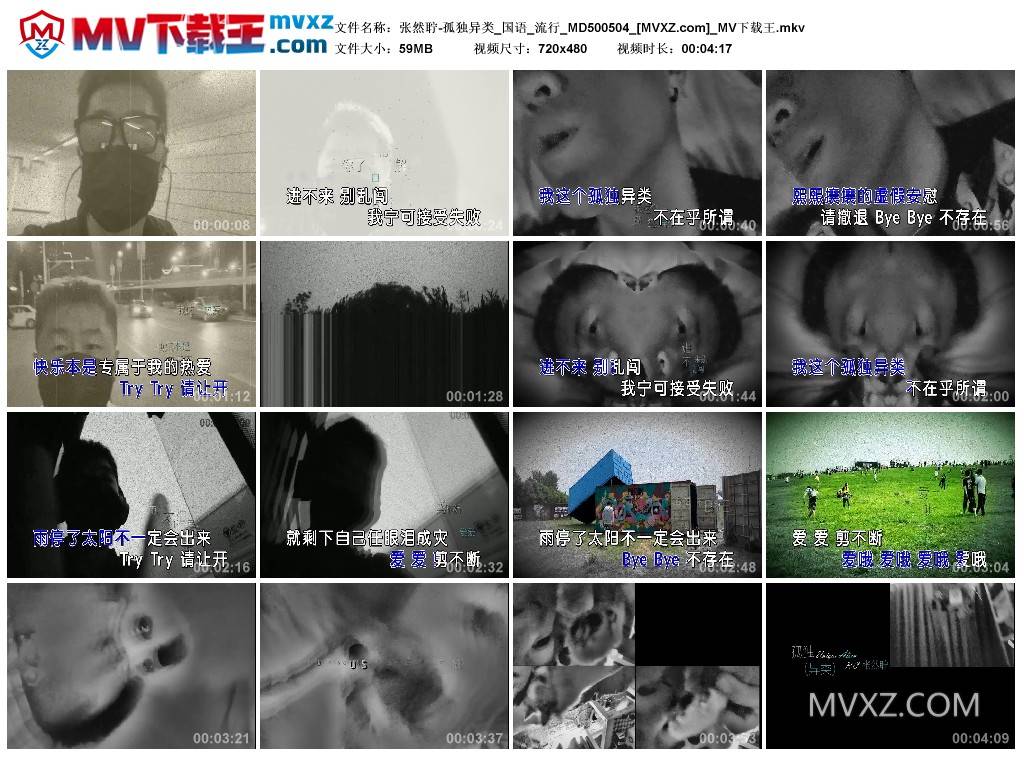 张然聍-孤独异类_国语_流行_MD500504
